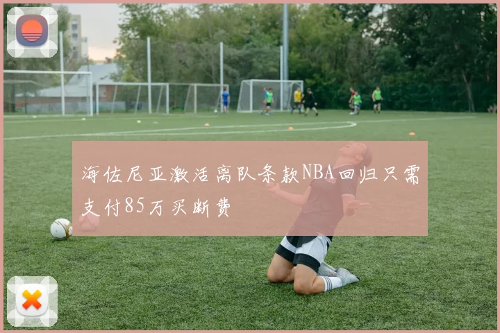 海佐尼亚激活离队条款NBA回归只需支付85万买断费