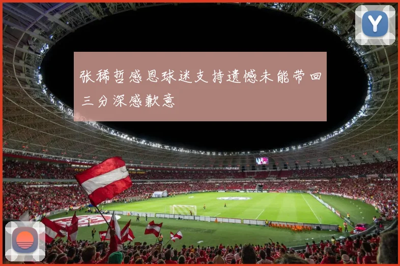 张稀哲感恩球迷支持遗憾未能带回三分深感歉意
